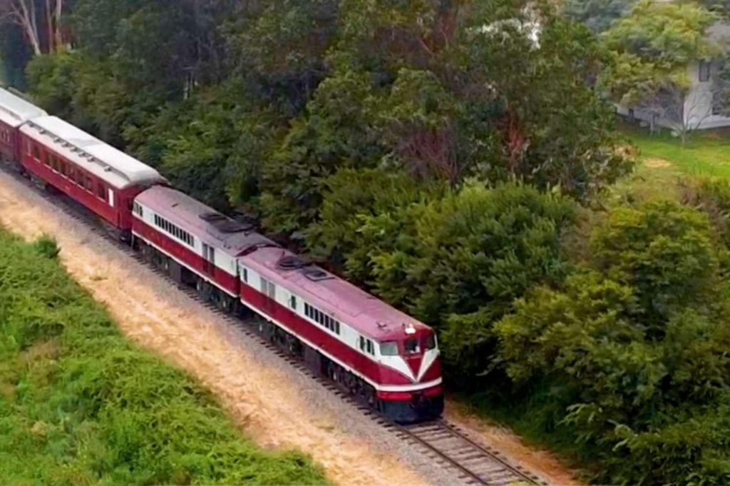 Tren del Recuerdo en viaje especial entre Santiago y Temuco por Fiestas Patrias 2026