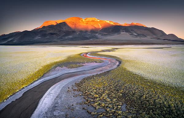 Salar de Gorbea en el altiplano chileno, donde investigadores estudian la historia del agua, las rocas y la diversidad microbiana.